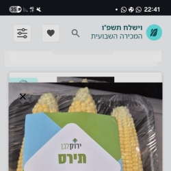 תירס - חברת ירוק לבן