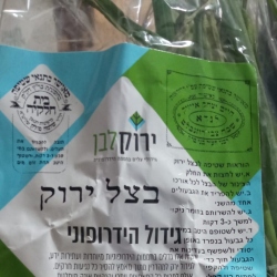 ירוק לבן / KT עלים / LEAFRESH