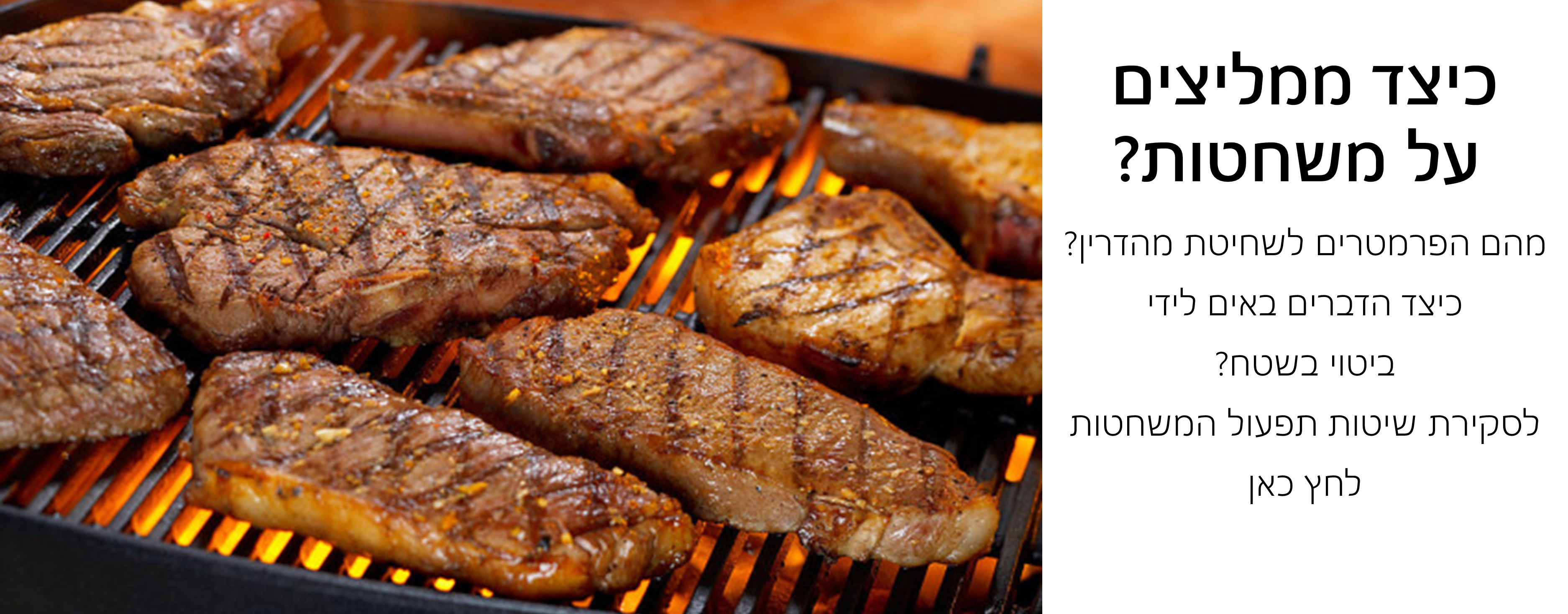 כיצד ממליצים על משחטות מהם האתגרים הכשרותיים והמערכתיים בתחום המשחטות